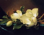 Two Magnolias and a Bud on Teal Velvet - 马丁·约翰逊·赫德